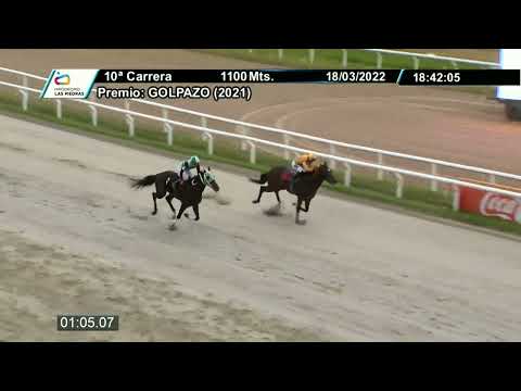 220318 c10 - SERENITO - HIPODROMO LAS PIEDRAS