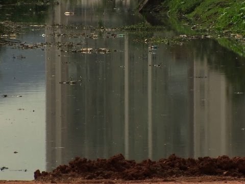 Rio Mayor Tries to Ease Zika Fears