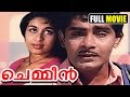 ചെമ്മീൻ Chemmeen Malayalam Full Movie Evergreen Classic Romantic Movie