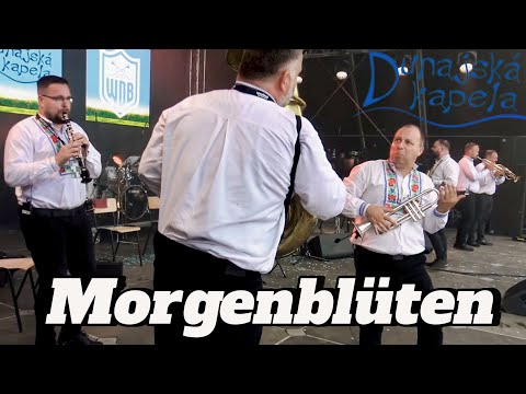 Dunajska Kapela | Morgenblüten | Kmotrenka - Woodstock der Blasmusik 2025
