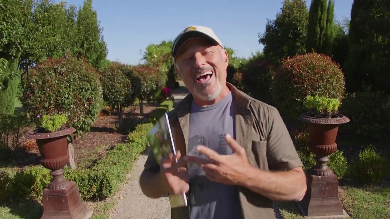 Live Q&A Today at 4:30pm