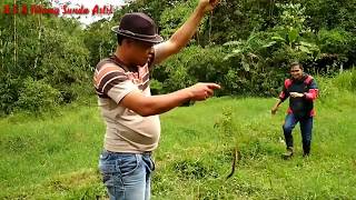 preview picture of video 'fishing big eel in swamp (Ngurek belut besar di legok ilod )'
