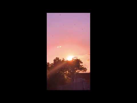 Welcome to the Lotus Moon Sanctuary: A Journey of Spiritual Discovery