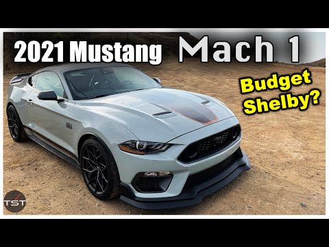 Mustang Mach 1: Best Mustang GT Ever? - Two Takes
