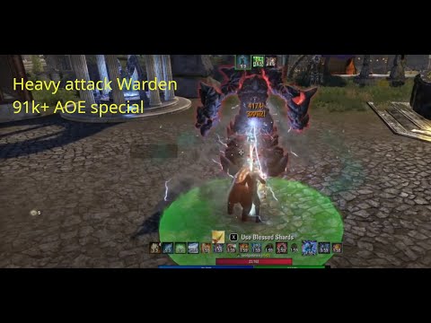 ESO Heavy Attack warden. 91k+ with mostly AOE damage
