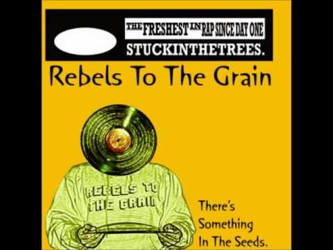 Jackie Thompson- Rebels To The Grain