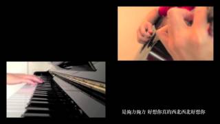 好想你 I MiSS U - Joyce Chu 四葉草 (Piano/Guitar Cover)