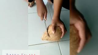 Download lagu Cara membuat 'Celengan dari Batok Kelapa' mp3
