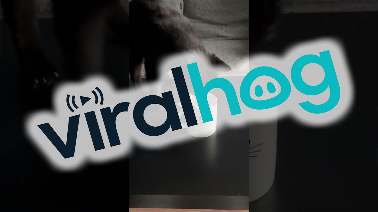 YouTube video preview