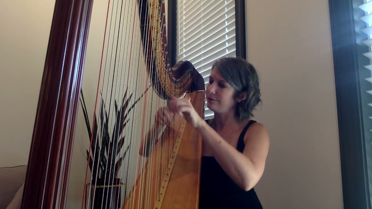 Promotional video thumbnail 1 for Alisa Bekebrede
