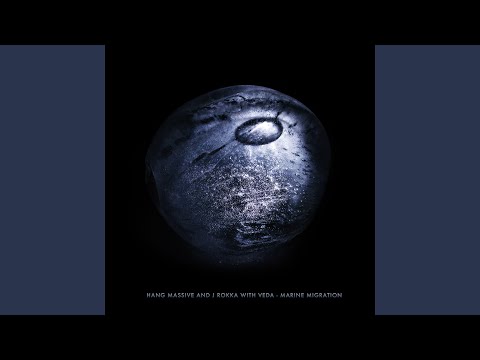 Marine Migration (Gaudi Remix)