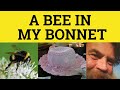 Have a Bee in Your Bonnet - Vocabulary Builder ...