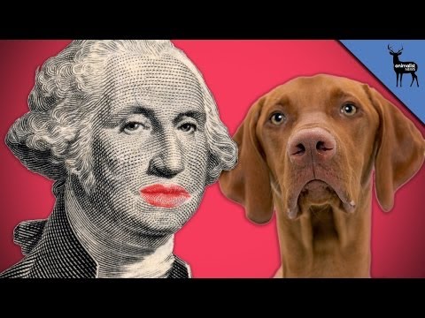 Which President Had a Dog Named Sweetlips?