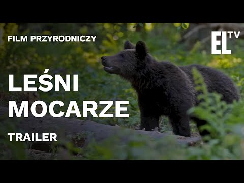 LEŚNI MOCARZE - trailer