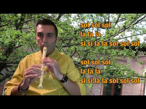 Il bidello infuriato - flauto dolce