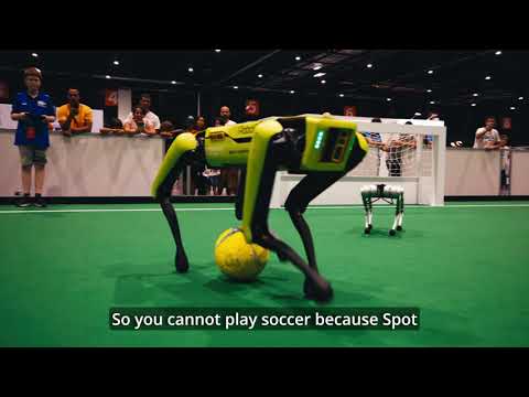 Robocup 2023 Bordeaux Interview René Spot & Cheetah