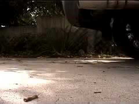 Injen Exhaust on 2004 Honda Element