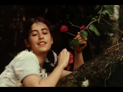 A Marvada Carne 1985 HD