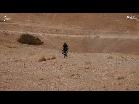 Inmersión en la naturaleza a golpe de pedal