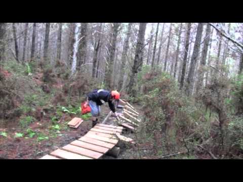 Treasure Island Bridge Build