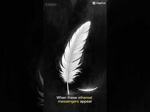 Look for the feather🪶SpiritualSigns #GoodLuckToday #FeatherSymbol #UniverseIsTalking #LuckyVibes