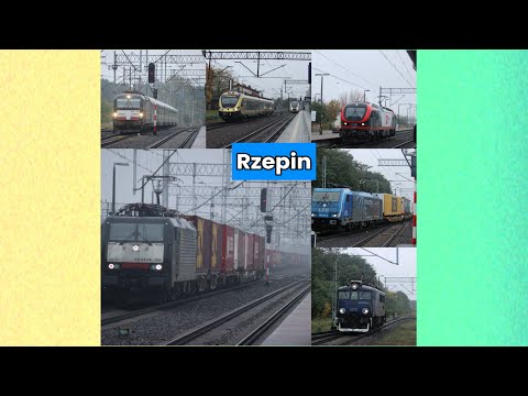 Pociągi Rzepin Październik 2025r. - Rzepin PKP