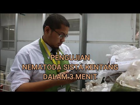 , title : 'Pengujian Nematoda Sista Kentang (NSK)'