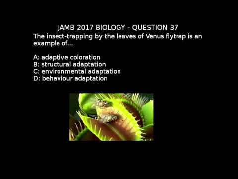 Q37 - JAMB Biology 2017 Past Questions and Answers