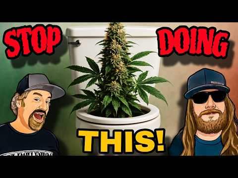 Jug Dealers Podcast and GRAMBO GROWS