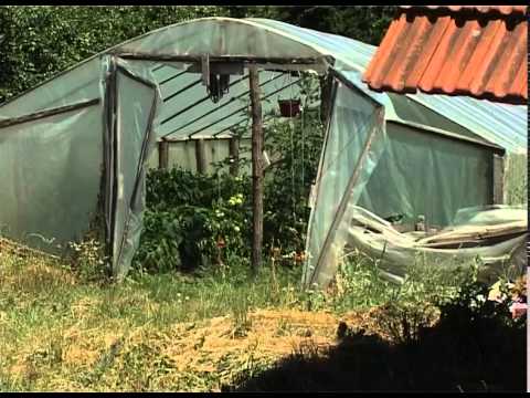 Prilog   RTVKV   Kosmajica poljoprivreda