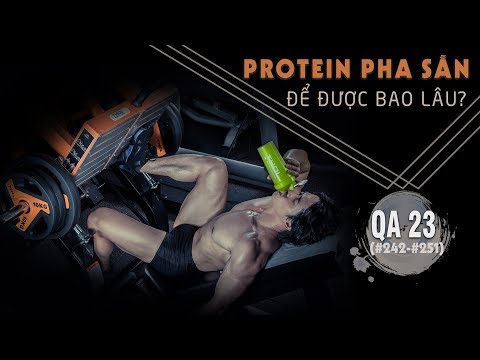 download lagu mp3 mp4 Qa 23, download lagu Qa 23 gratis, unduh video klip Qa 23