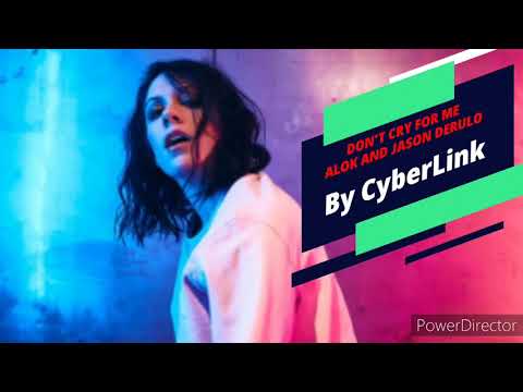 Alok, Martin Jensen, Jason Derulo - Don't Cry For Me