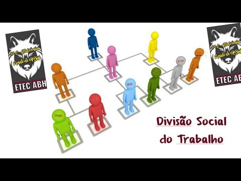 Divisão Social do Trabalho.