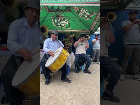 Fanfara Lui Raducu de la Valea Mare tel.0772135953