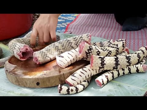 download lagu mp3 mp4 Sank Food, download lagu Sank Food gratis, unduh video klip Sank Food