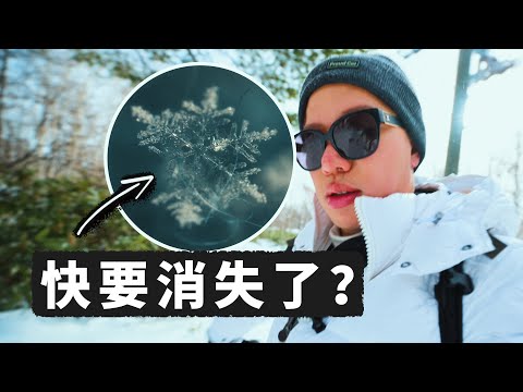 消失的粉雪？北海道雪场经济的隐藏危机｜Money-Making Snowflakes, And Why We Might Never See Them Again&hellip;