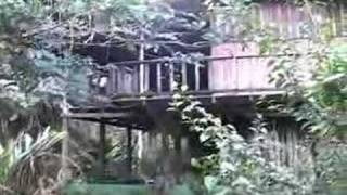 preview picture of video 'Corcovado Jungle Eco Lodge ~ Drake Bay, Costa Rica'