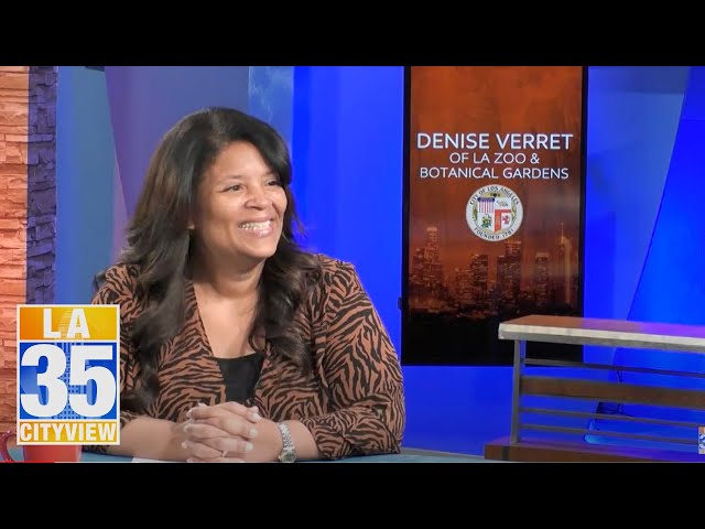 Video de pronunciación de Verret en Inglés
