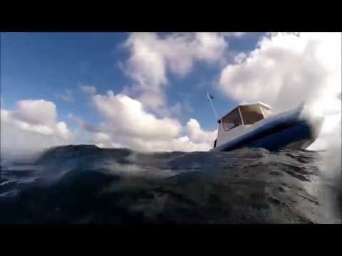 9.1M RIB - Image 2