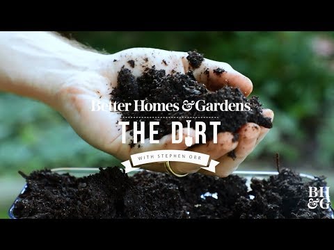 The Basics of Composting at Home