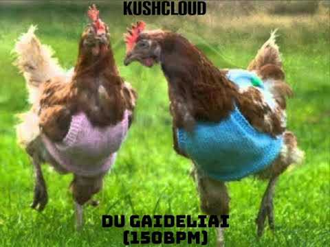 KUSHCLOUD - DU GAIDELIAI (150BPM)
