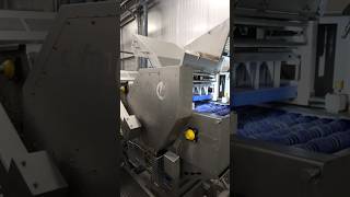 Machine de transformation des fruits et l&eacute;gumes Dofra Foodtech 20054743 01 Segmentator ziemniak&oacute;w | Image 4 - Machineryline