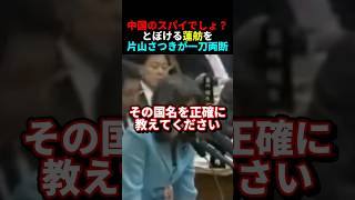 片山さつきがシラを切る蓮舫を容赦なく詰める#政治 #片山さつき #蓮舫