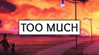 ZAYN ‒ Too Much (Lyrics) ft. Timbaland