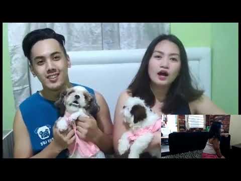 Lianne's Birthday wishes! 04.24.2020