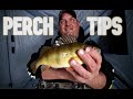 Perch Fishing Tips & Tactics (Lures, Bait & Jigging Cadence)