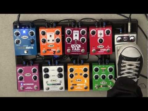 Harry Maes and T-Rex Board