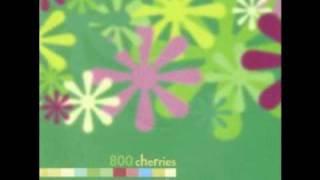 800 Cherries - Rainy Poppy Field