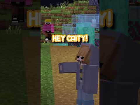 We Made A BUSINESS On This Minecraft SMP...