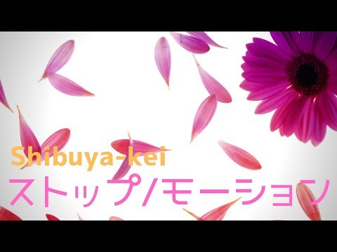 RAVENWORKS - ストップモーション